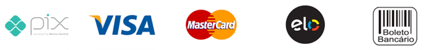Formas de pagamento: Pix, Visa, MasterCard, Elo e Boleto Bancário